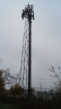 Dieser Mobilfunkmast steht bei der TSG in Ketsch. Ein Pendant soll in Rohrhof aufgestellt werden.