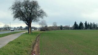 Die Fläche rechts der Straße zum Friedhof hin soll als Gewerbegebiet genutzt werden, die Fläche nördlich des Friedhofs als Solarpark. So schlägt es die Verwaltung vor.