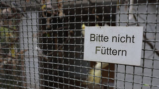 Fett angeschrieben am Käfigzaun ist das Verbotschild: Bitte nicht füttern