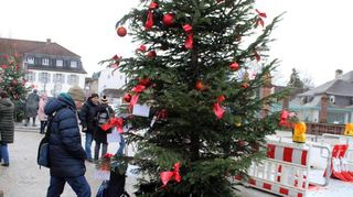 Der Kindertraumbaum steht beim Weihnachtsmarkt auf dem Schlossplatz. Viele Besucher kommen vorbei, um zu helfen.