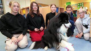 Schulhund“ Skye“ würfelt für die Schüler der Klasse 7a Matheaufgaben. Malia (v. l.), Corinna, Maileen, Dominik und Philipp schauen aufs Ergebnis.