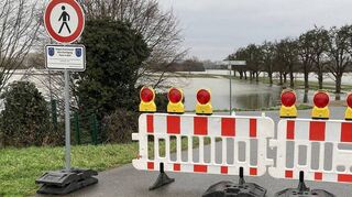 Dieses Bild erwarten die Hochwasserwarndienste bereits für Mitte der nächste Woche – der Rheinpegel soll explosionsartig anschwellen und dann auch die Schwetzinger Wiesen bei Brühl überfluten.