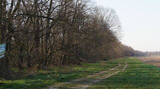Der Entenpfuhl ist hier von Norden aus zu sehen – der Wald, der nach Plänen für den Rohstoffabbau von Sand und Kies fallen könnte, erstreckt sich bis an den Bildrand.