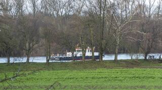 Blick übers Niederfeld auf den mit Bäumen bewachsenen Sommerdamm, im Hintergrund der Rhein. Viele der Bäume sind krank, der Damm ist durchweicht, ihn zu betreten ist lebensgefährlich, so die Gemeindeverwaltung, die mit einem Dammbruch rechnet.
