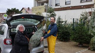 Waltraut Zimmermann kann ihren kleinen Weihnachtsbaum mit dem Auto nach Hause transportieren. Verkäufer Manuel Rupprecht hilft beim Einladen.