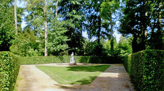 SSZ_Hainbuchenhecke im calathea - Hain
Bild: Rolf Simianer