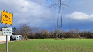 Ein Feld am Ortseingang in Ketsch. Viele Landwirte haben im Laufe der Jahre den Anbau von Sonderkulturen wie Tabak oder Spargel aufgegeben und konzentrieren sich nun auf den Anbau von Getreide.