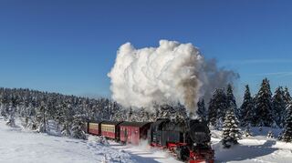 Einmaliges Mobilitätserlebnis: Wer den Brocken nicht besteigen möchte, kann bequem die Brockenbahn nutzen.