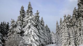 Auf den Spuren Goethes: Auch im Winter kann den Spuren Goethes in einer märchenhaften Landschaft gefolgt werden.