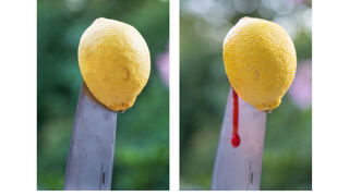 Peter Reineke hat diesen Fotos den Titel „Zitronenrot“ verliehen. Sie sind beim Fotosalon ausgestellt.