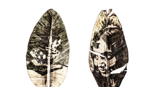 Fotosalon: Petra Disch, "Monddiamant".