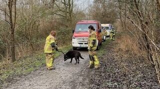 Die Feuerwehr kann Hund und Herrchen retten.