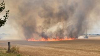 Große Rauchwolken steigen auf einem Kornfeld zwischen Plankstadt und Eppelheim empor. Ein Traktor versucht, das Feuer mit Wasser aus einem Tankfahrzeug zu löschen. Kurz darauf treffen die Einsatzkräfte ein.