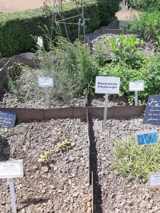 Im Zisterzienserkloster Marienstatt gibt es einen historischen Kräutergarten.