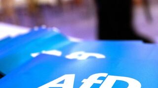 Fähnchen mit dem Logo der AfD liegen bei einer Parteiveranstaltung in Greding (Bayern) auf einem Tisch.