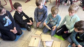 Der Zweitklässler Tom zeigt, wie man die Holzteile des Nistkastens zusammensetzt, und seine Klassenkameraden helfen mit. Die Kinder erweitern dabei nicht nur ihr handwerkliches Geschick, sondern lernen auch einiges über die Lebensweise von Vögeln.