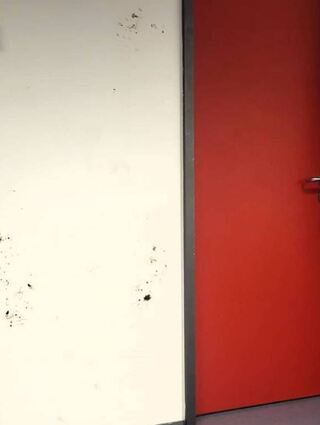 Vandalismus im Capri-Sonne-Sportcenter: Müll, verdreckte Toiletten, Verschmutzung durch Harz, mutwillige Sachbeschädigungen, beschmierte Wände und beschädigte Türen machen der Verwaltung Sorgen und belasten das Budget. Bild: Stadt Eppelheim