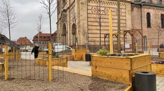 Der Platz vor dem Speyerer Dom gehört in Teilen der Stadt. Dort wird gerade eine Klimaoase realisiert – mit Beeten und Bäumen.