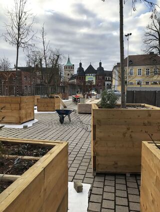 Arbeiten zur Klimaoase Speyer.
