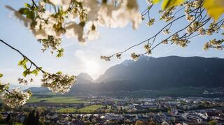 Blick auf Schwaz im Frühling: Oben sind noch die weißen Bergspitzen zu sehen, unten im Tal grünt und blüht es.