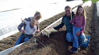 Der Hockenheimer Spargelbauer Steffen Großhans und seine Familie waren mittendrin, als die ersten Stangen geerntet wurden.