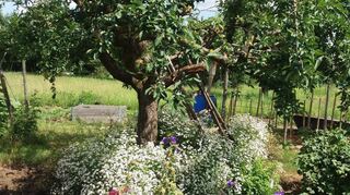 Reinhold Treiber vom Naturzentrum Kaiserstuhl spricht bei der Veranstaltung im Alten Bahnhof über das Thema naturnahe Gärten und ihr Nutzen für Natur und Mensch.