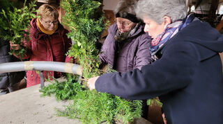 Sie flechten die Osterkrone, die am Freitag vor dem Rathaus aufgestellt wird:  Charlotte D'Auria (v. l.), Imelda Grein und Dorothea Müller.