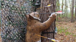 Beim Turnier gilt es, die aufgestellten Tierfiguren aus Spezialkunststoff so zentral wie möglich zu treffen.