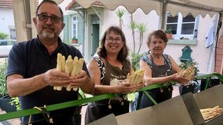 Es spargelt in Schwetzingen: Peter Fackel-Kretz, Elfriede Fackel-Kretz-Keller und Seniorchefin Ilse Fackel-Kretz präsentieren die schon beachtliche Ernte.
