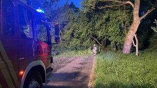 Die L630, die Zufahrt zur Kollerfähre, ist bedingt durch umgestürzte Bäume bis auf Weiteres komplett gesperrt.