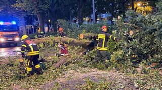 Ein Unwetter fegt über Deutschland hinweg, sorgt in einigen Regionen für Sachschäden.