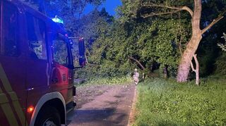 Auf der Landesstraße L 630, der Zufahrt zur Kollerfähre, muss die Feuerwehr zahlreiche umgekippte Bäume beseitigen.