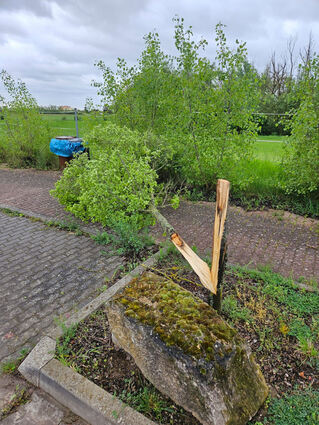 Im Mörscher Weg hat der Bauhof mehrere vom Sturm umgeknickte junge Bäume beseitigen müssen. Vier Gruppen waren ab dem frühen Morgen unterwegs.