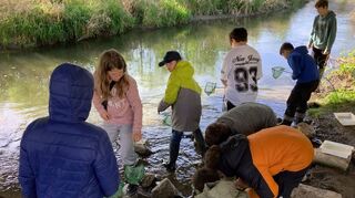 Die Kinder haben Spaß am Kraichbach und lernen die Kriterien für eine gute Wasserqualität kennen.