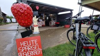 Das Wetter spielt leider nicht so mit beim Spargelanstich in Schwetzingen. Es ist gerade zu kalt für die weißen Stangen. Daher: "Heute Spargel ausverkauft".