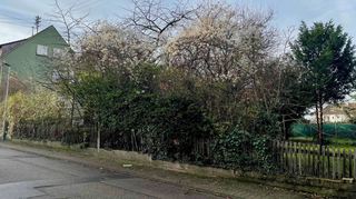 In der Straße „Blumenau“ sollen auf diesem Grundstück drei Reihenhäuser mitsamt einer Tiefgarage gebaut werden.