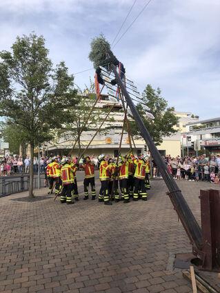 Die Feuerwehrleute drücken den Baum traditionell mit Stäben hoch.