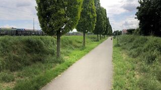 In diesem Bereich soll die Fußgänger- und Radfahrerbrücke entstehen. Rechts ist der Weg auf der westlichen Seite der Bahnlinie zu sehen, links eines der neuen Gebäude der „Schwetzinger Höfe“ auf der anderen Seite des Gleikorridors.