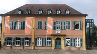 Für das Palais Hirsch gelten künftig andere Nutzungsregeln – vor allem für politische Parteien und Gruppierungen. Das hat der Gemeinderat am Mittwochabend beschlossen.