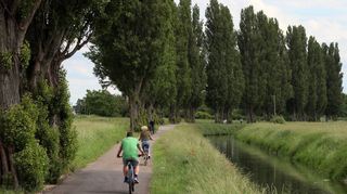 Idyllisch, aber abends dunkel: Der Radweg entlang des Kraichbachs zwischen Hockenheim und Reilingen soll über über Solar-leuchten mit Lichtmast und Bewegungssensoren beleuchtet werden. Der Reilinger Gemeinderat ist dazu bereit.