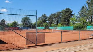 Für die Tennisanlage des TV Lussheim genehmigt der Gemeinderat einen Zuschuss in Höhe von 15 Prozent auf die Gesamtkosten der anstehenden Sanierungsarbeiten.