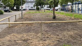 Noch mutet das Areal am Schillerplatz etwas karg an, doch schon bald wird hier eine Staudenbepflanzung eingebracht, die sehr förderlich für die Artenvielfalt in diesem Gebiet sein soll und zudem Zeitersparnis bei der Pflege garantiert.