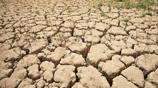 Insbesondere der globale Süden leidet unter Dürre, Überschwemmungen und Stürmen. Doch auch in Deutschland sind die Auswirkungen des Klimawandels zu spüren.
