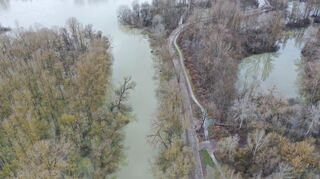 Hochwasser rund um Brühl im Jahr 2021: Im Vordergrund der Altrhein und hinten der Rhein.