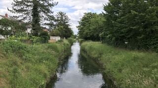 Der Leimbach an der Stamitzstraße in Schwetzingen: Den SFW liegt die Renaturierung des Leimbaches am Herzen.