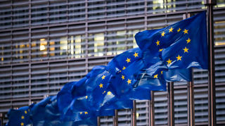 Deutschland stellt im Europa-Parlament 99 Abgeordnete.