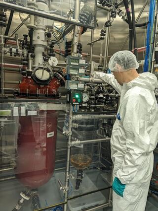 Gemini PharmaChem Mannheim produziert Medikamentenwirkstoffe in Mannheim.