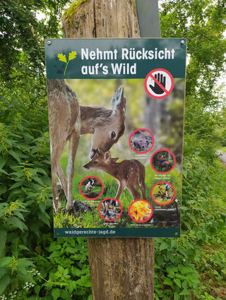 Ein Hinweisschild in Oftersheim, unweit der Hardtwaldsiedlung, das für Verhalten im Wald wirbt, welches Wildtieren nicht schadet.