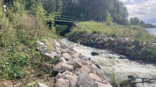 Seit dem Abriss dieser alten Brücke bei der Einmündung des Leimbachs in den Rhein ist dort für Radfahrer und Fußgänger kein Durchkommen mehr.