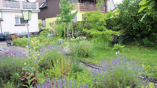Naturnah, wunderschön und fit gemacht für den Klimawandel, so präsentiert sich der Garten von Gisela Hinderberger, in dem die Begehung stattfindet.